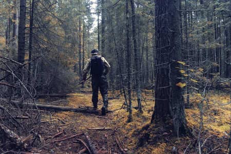 Купить диплом Егеря, лесника в Петропавловске-Камчатском