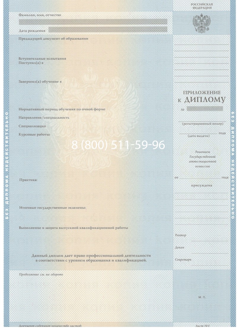 Заказать Диплом бакалавра 2003-2009 годов в Петропавловске-Камчатском Заказать Диплом бакалавра 2003-2009 годов в Петропавловске-Камчатском