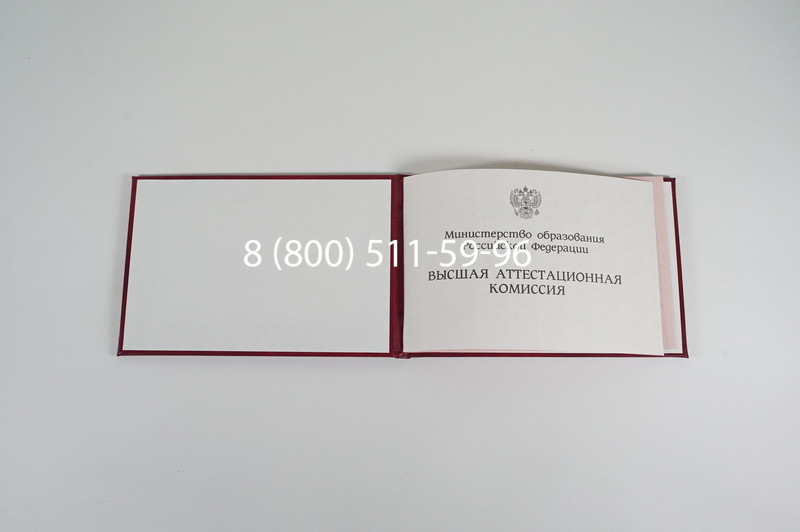 Диплом доктора наук 1995-2006 года в Петропавловске-Камчатском