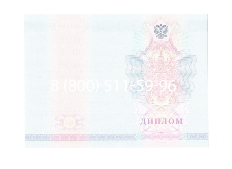 Заказать Диплом о среднем образовании 2007-2010 годов в Петропавловске-Камчатском