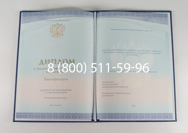 Диплом о среднем образовании (Спецбланк) 2014-2024 года в Петропавловске-Камчатском