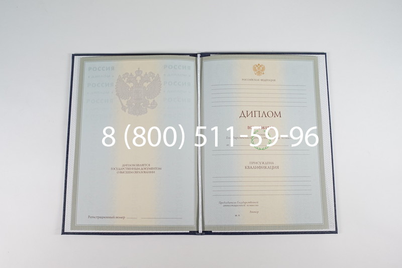 Диплом о высшем образовании 2003-2009 годов в Петропавловске-Камчатском