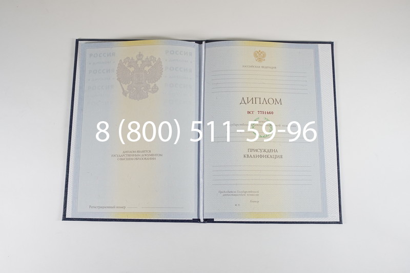 Диплом о высшем образовании 2010-2011 годов в Петропавловске-Камчатском