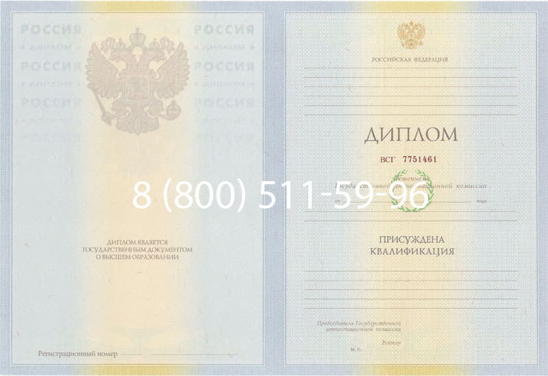 Купить Диплом о высшем образовании 2010-2011 годов в Петропавловске-Камчатском