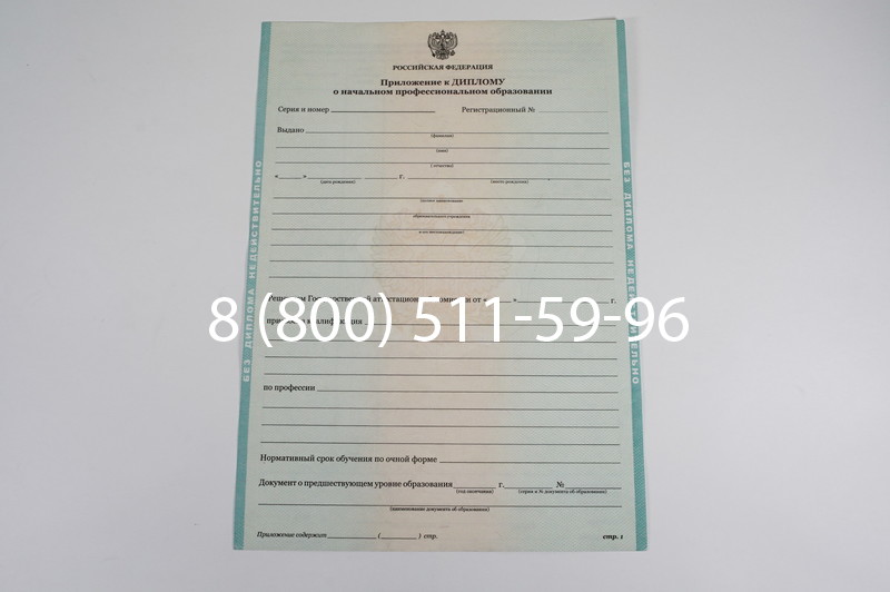 Диплом ПТУ 2014-2024 года в Петропавловске-Камчатском