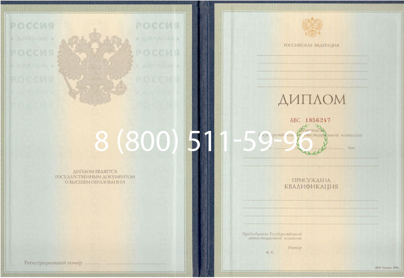 Купить Диплом специалиста 1997-2002 годов в Петропавловске-Камчатском