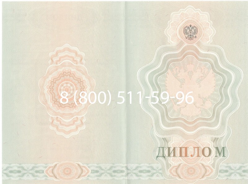 Купить Диплом училища 2007-2009 годов в Петропавловске-Камчатском Купить Диплом училища 2007-2009 годов в Петропавловске-Камчатском